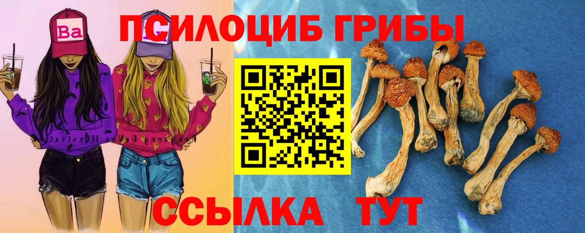 Галлюциногенные грибы Psilocybine cubensis Пыть-Ях